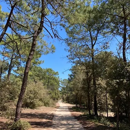 Les Joublanchas : Maison Familiale Et Campagne Pour 16 Nyaraló