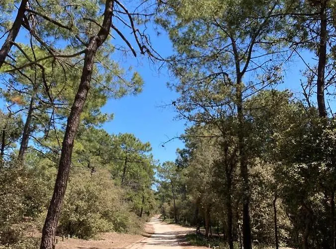 Les Joublanchas : Maison Familiale Et Campagne Pour 16 Hébergement de vacances