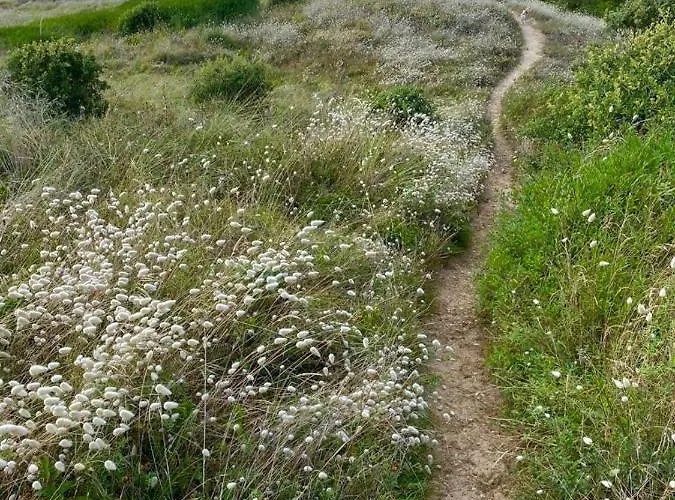 Les Joublanchas : Maison Familiale Et Campagne Pour 16 Hébergement de vacances Notre-Dame-de-Monts